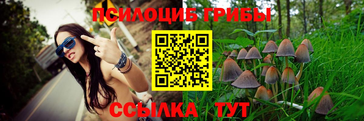 Псилоцибиновые грибы Psilocybe Ханты-Мансийск